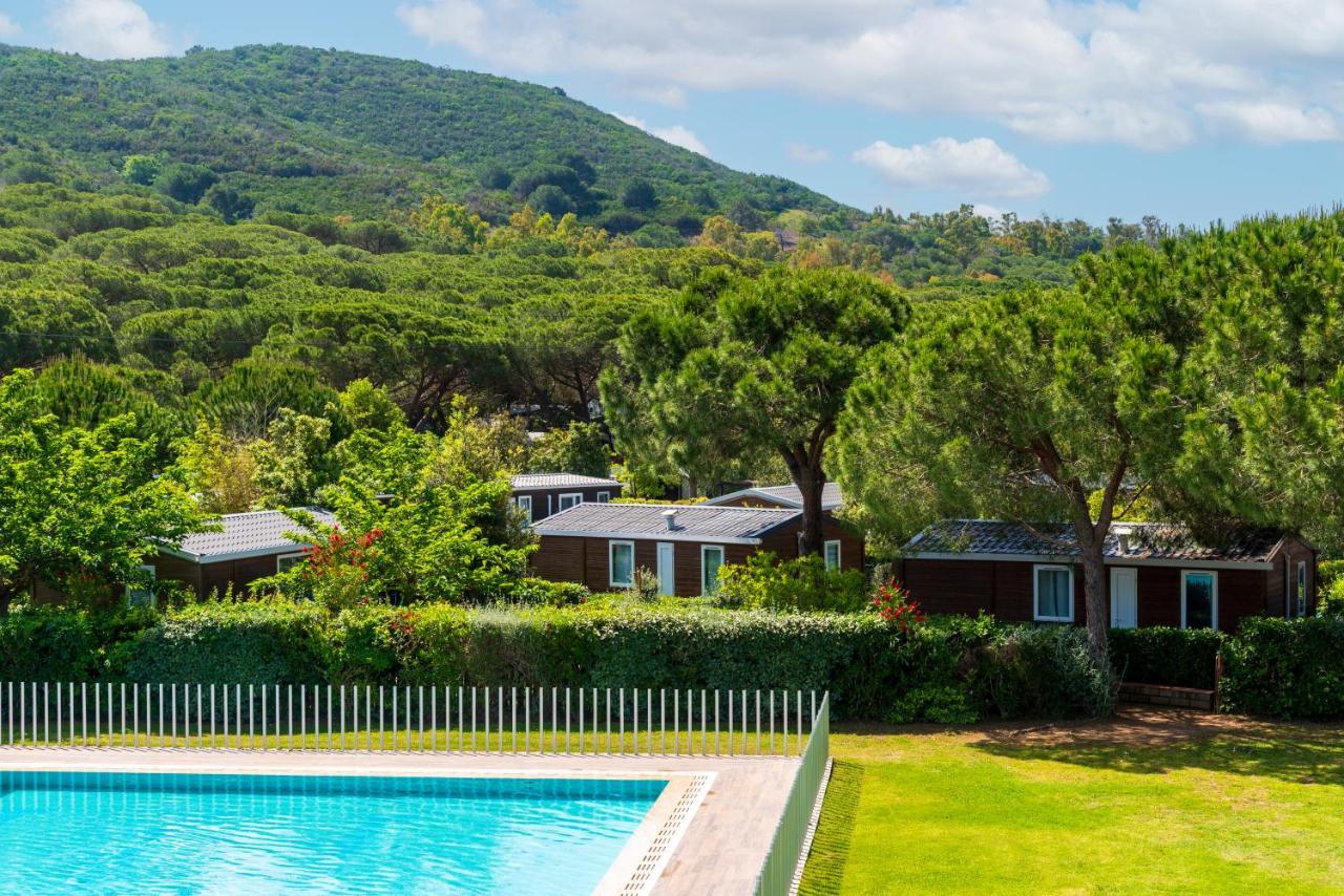 Camping Lacona Pineta กาโปลิเวรี ภายนอก รูปภาพ