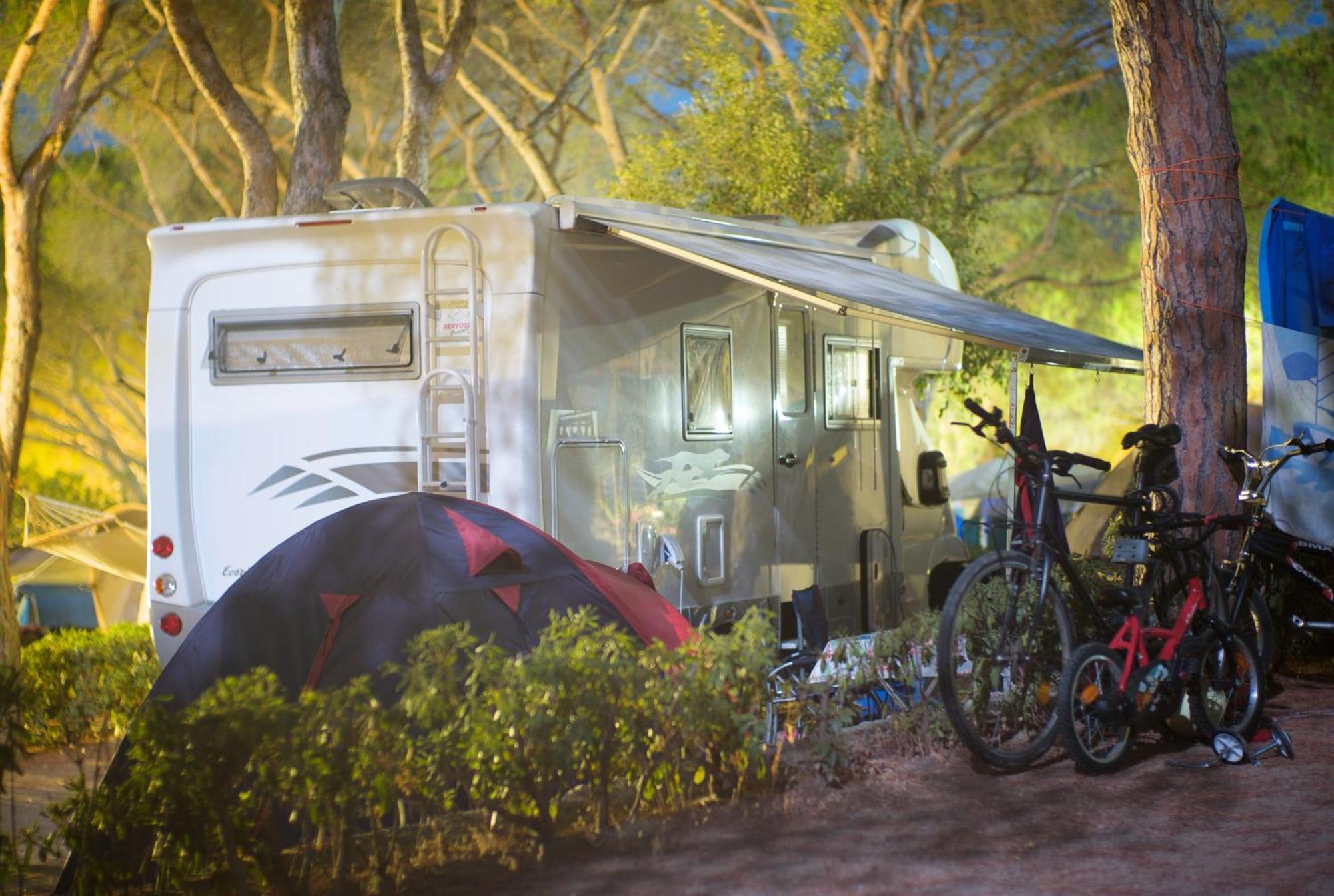 Camping Lacona Pineta กาโปลิเวรี ภายนอก รูปภาพ