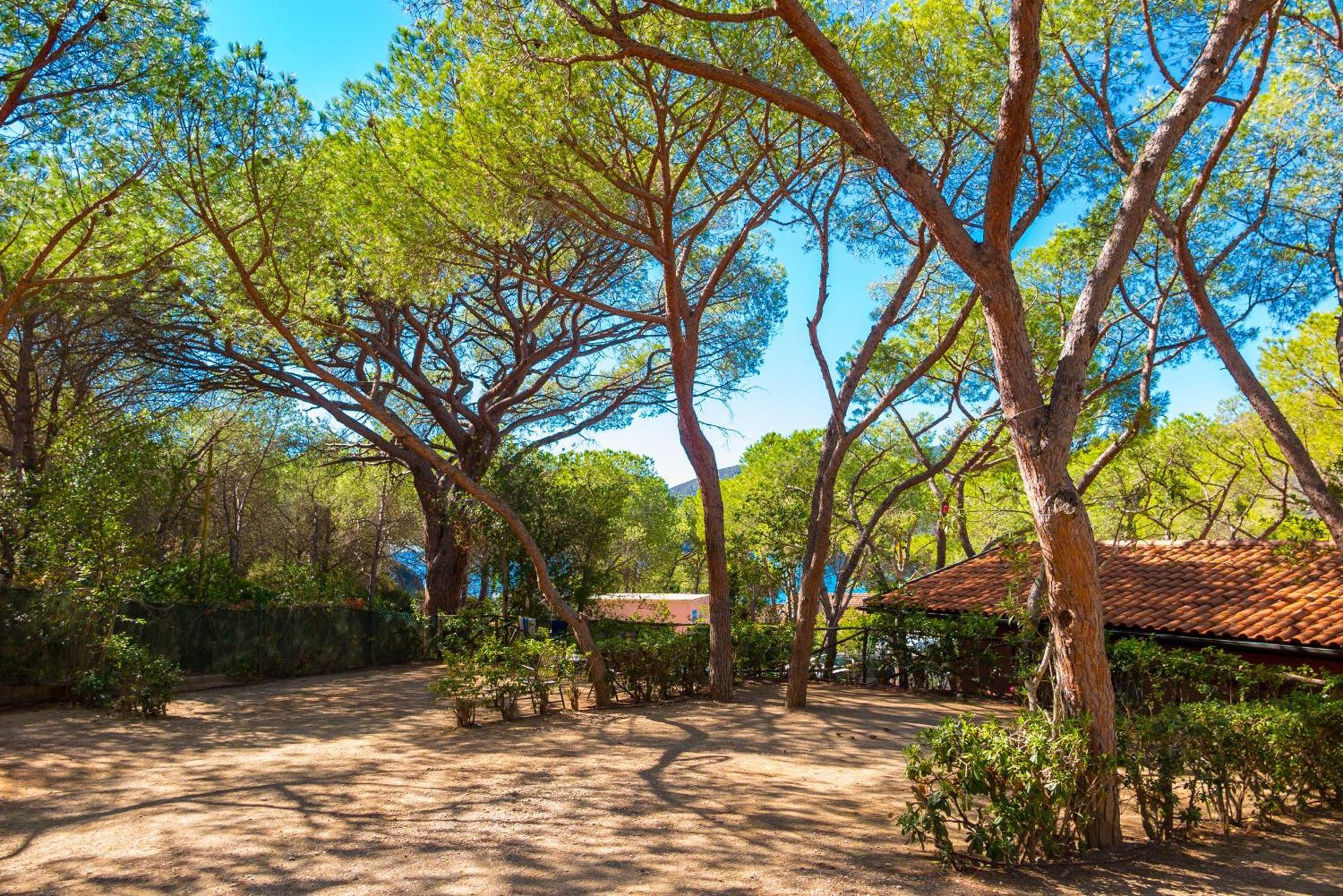 Camping Lacona Pineta กาโปลิเวรี ภายนอก รูปภาพ