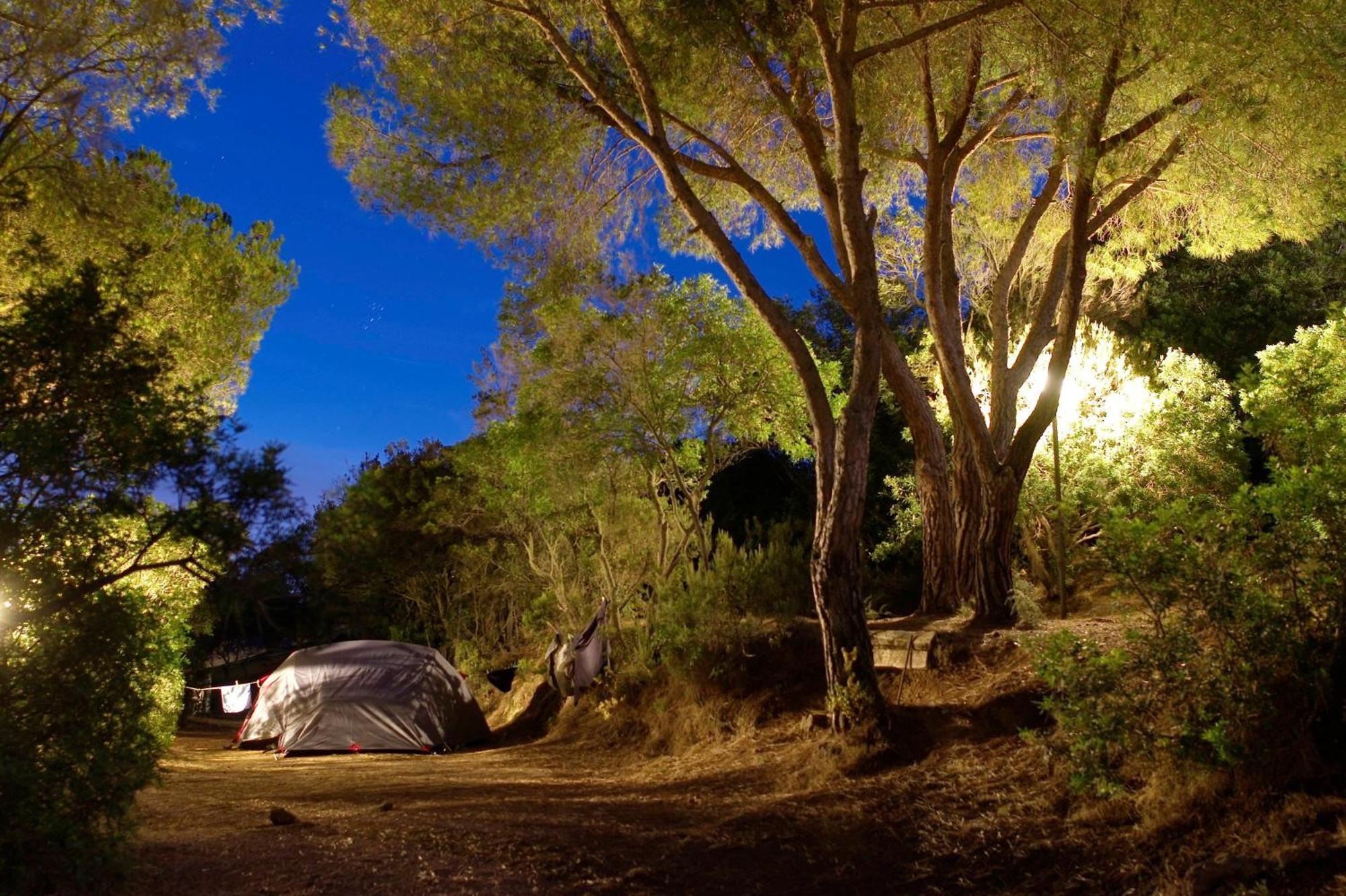 Camping Lacona Pineta กาโปลิเวรี ภายนอก รูปภาพ
